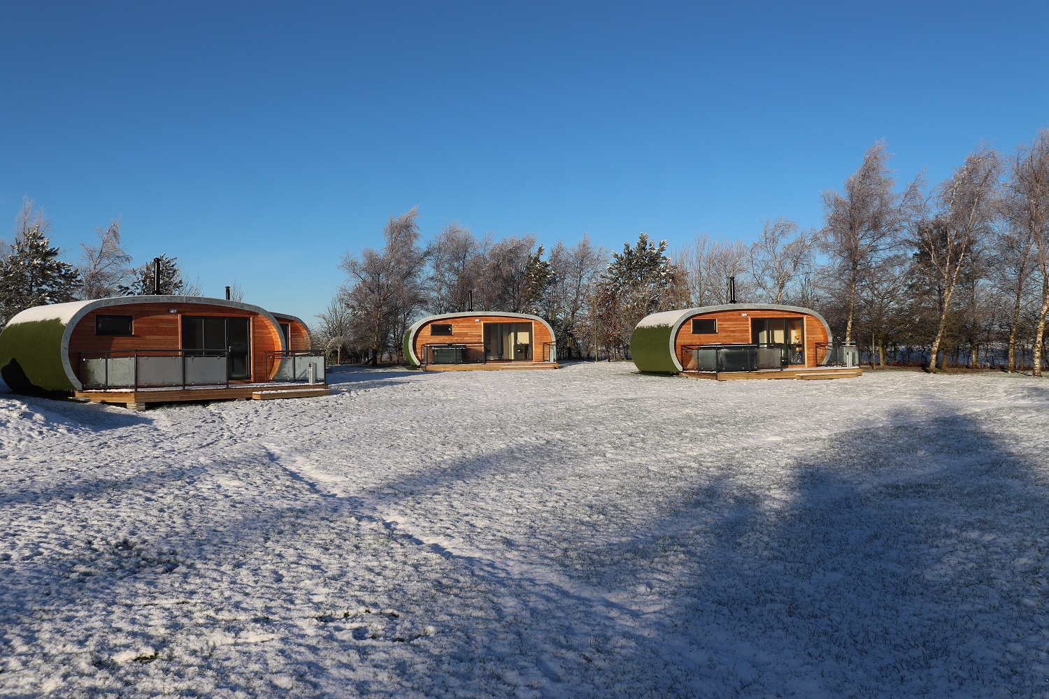 Pods in Snow