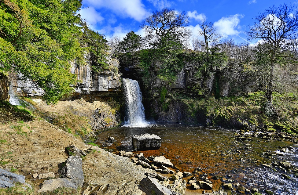 Thornton Force