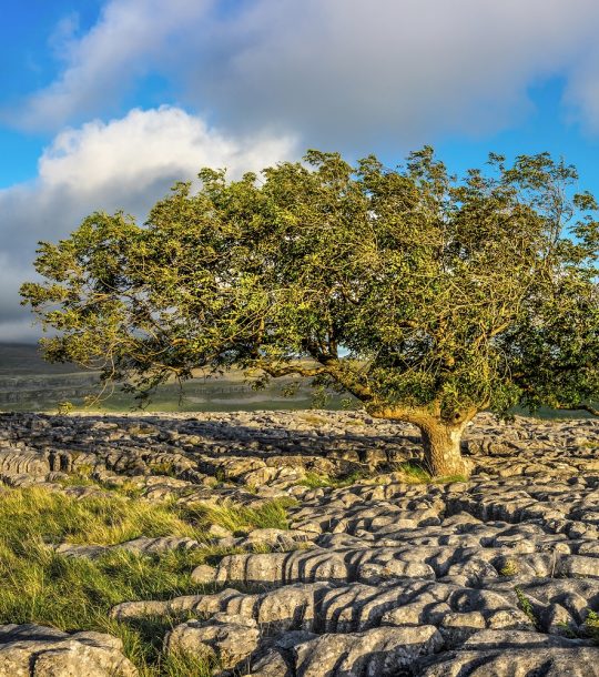 Ingleborough From Twistleton Scars